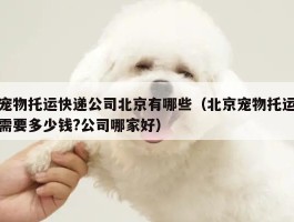宠物托运快递公司北京有哪些（北京宠物托运需要多少钱?公司哪家好）