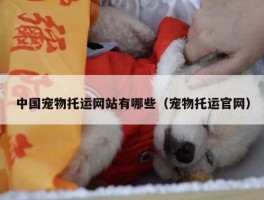 中国宠物托运网站有哪些（宠物托运官网）