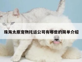 珠海太原宠物托运公司有哪些的简单介绍