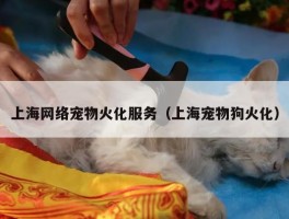 上海网络宠物火化服务（上海宠物狗火化）