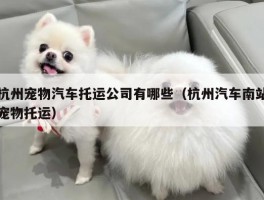 杭州宠物汽车托运公司有哪些（杭州汽车南站宠物托运）