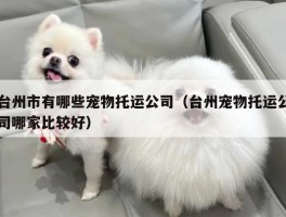 台州市有哪些宠物托运公司（台州宠物托运公司哪家比较好）