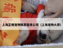 上海正规宠物殡葬服务公司（上海宠物火葬）