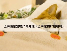 上海浦东宠物尸体处理（上海宠物尸检机构）