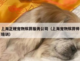 上海正规宠物殡葬服务公司（上海宠物殡葬师培训）