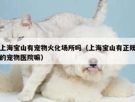 上海宝山有宠物火化场所吗（上海宝山有正规的宠物医院嘛）