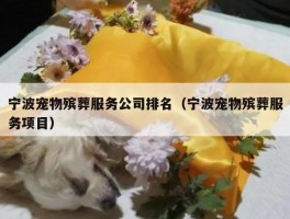 宁波宠物殡葬服务公司排名（宁波宠物殡葬服务项目）