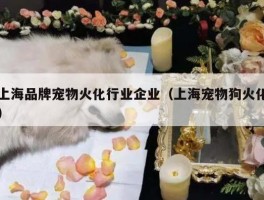 上海品牌宠物火化行业企业（上海宠物狗火化）