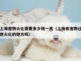 上海宠物火化需要多少钱一天（上海有宠物过世火化的地方吗）